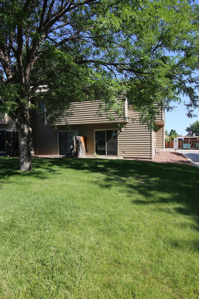 3. Back Yard