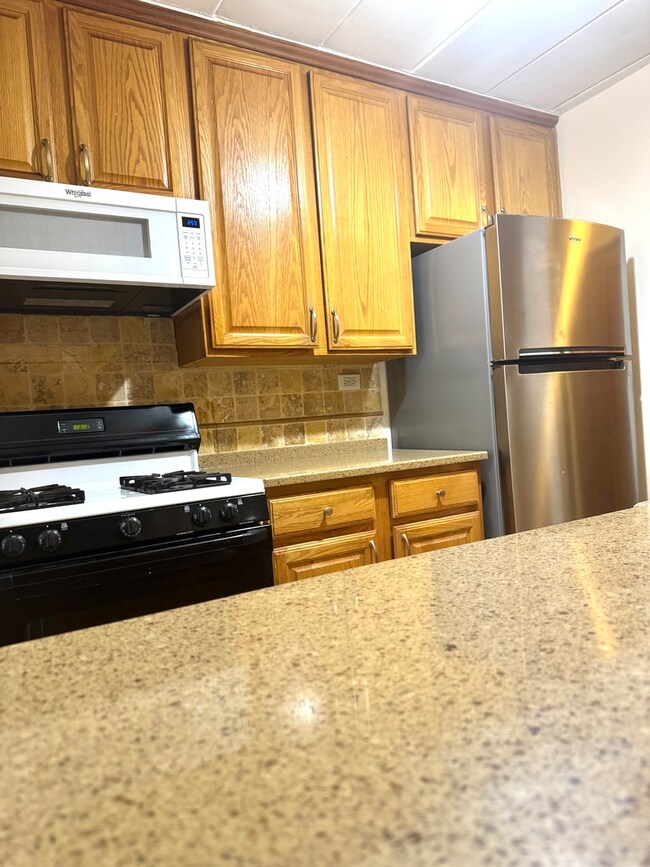 Town Square Condominiums unit 207, Schaumburg, IL 60193 - photo 3