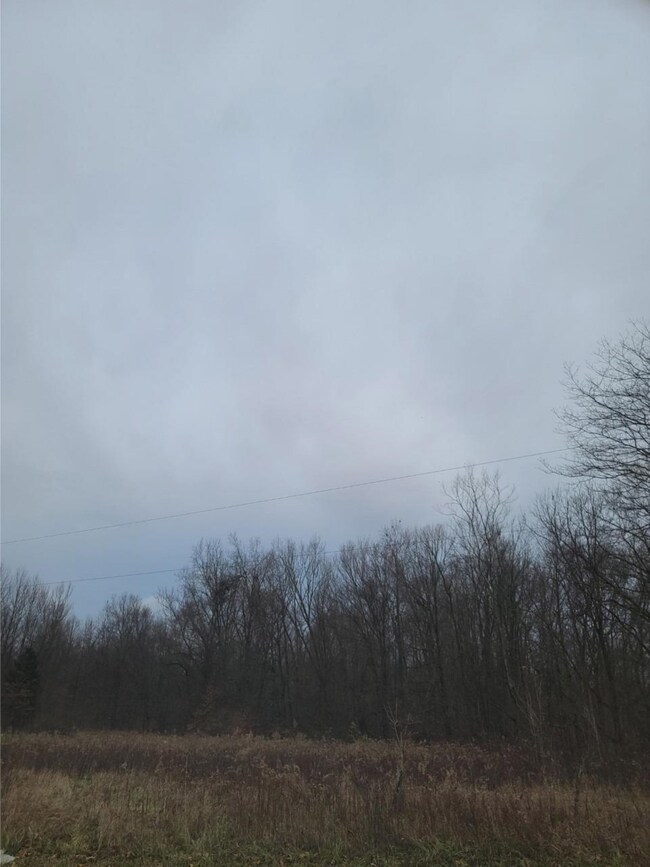 0 Long Branch Rd unit 193968, Brookville, IN 47024 - photo 2