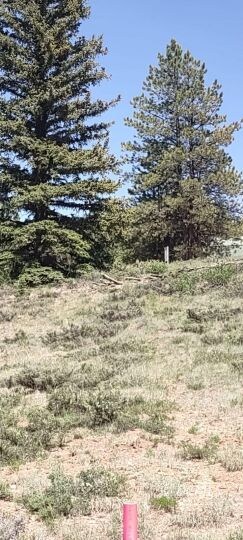 Property marker to of property