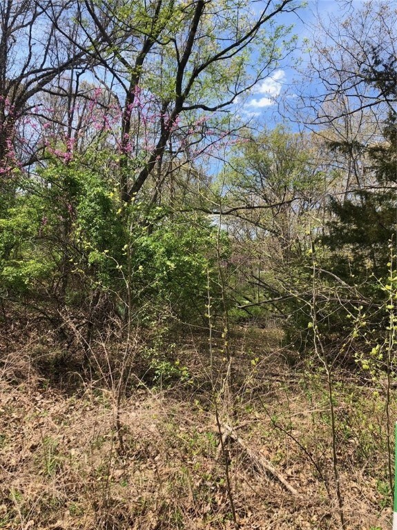 0 Taunton Ln, Bella Vista, AR 72715 - photo 2