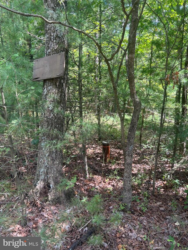 0 Sarah Ln unit VASH2009350, Basye, VA 22810 - photo 2