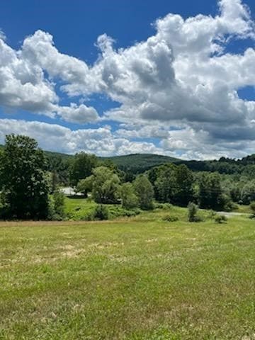 39 Sherman Hill Rd, Sidney, NY 13838 - photo 7