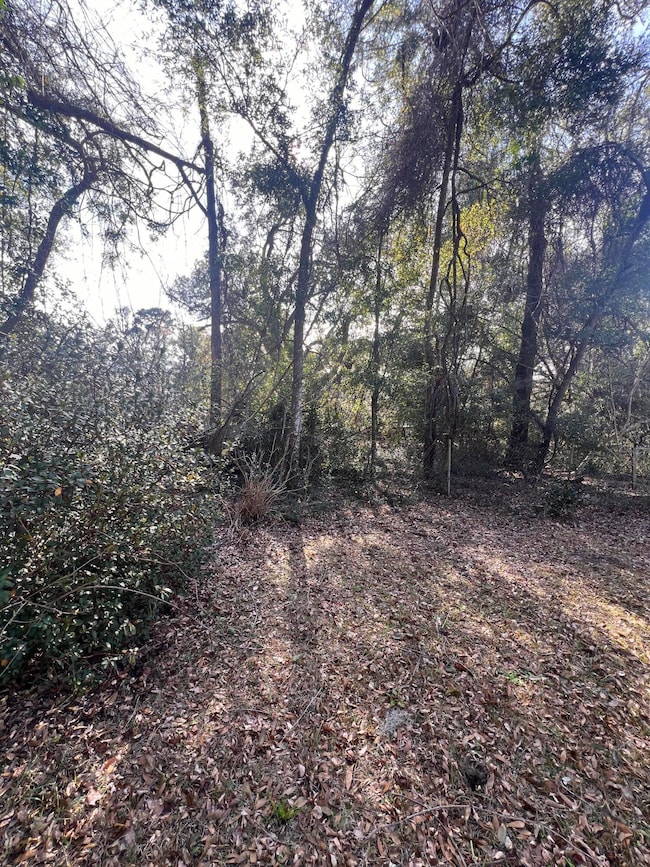 2560 Cherry Point Rd, Wadmalaw Island, SC 29487 - photo 3