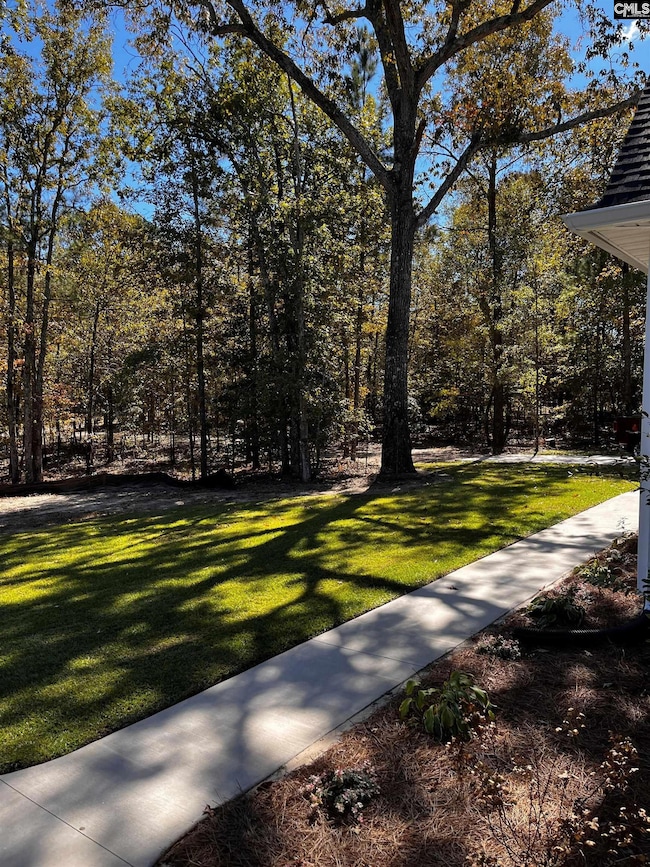 1769 Bookman Rd, Elgin, SC 29045 - photo 5