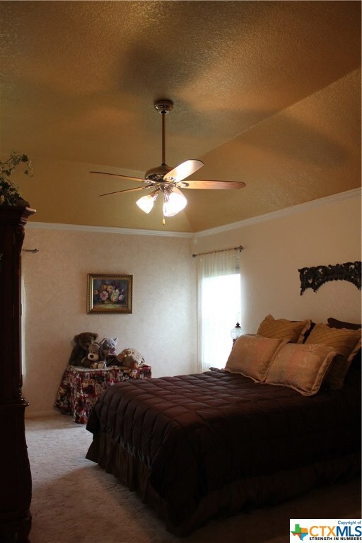 803 Mueller St, Copperas Cove, TX 76522 - photo 2