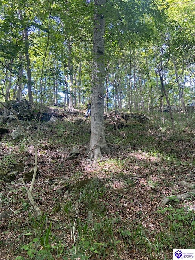 992 J M Mercer Campsite Rd unit Lots 12 & 13, Hudson, KY 40145 - photo 2