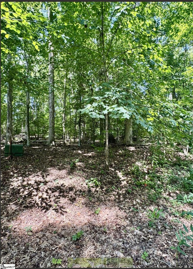 Lot B Adair Place, Laurens, SC 29360 - photo 2