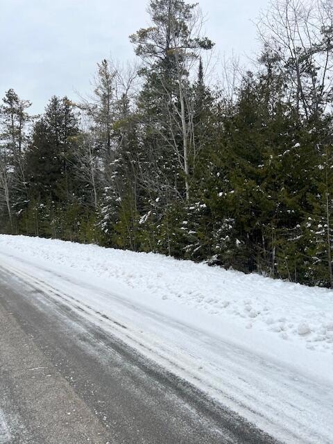 V/L Lot 69 E Grand Lake Rd, Presque Isle, MI 49777 - photo 4