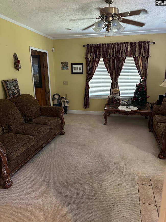 650 Old Barnwell Rd, West Columbia, SC 29170 - photo 2