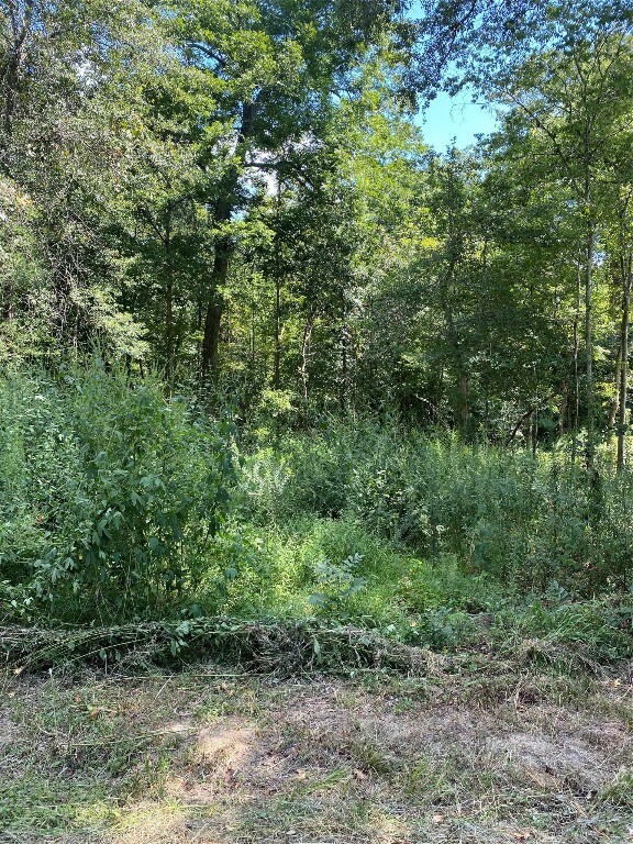 235 County Road 431, Dayton, TX 77535 - photo 2