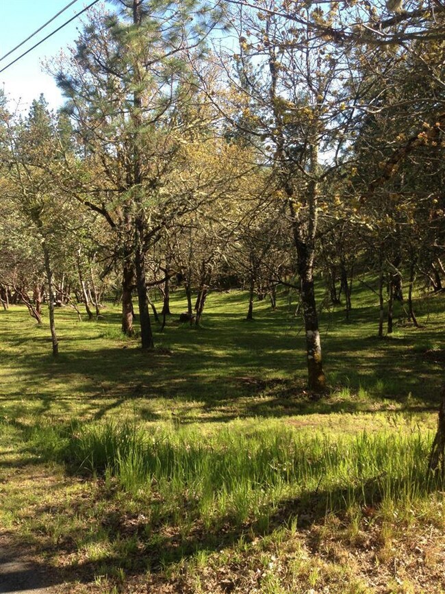 215 Morton Way, Jacksonville, OR 97530 - photo 5