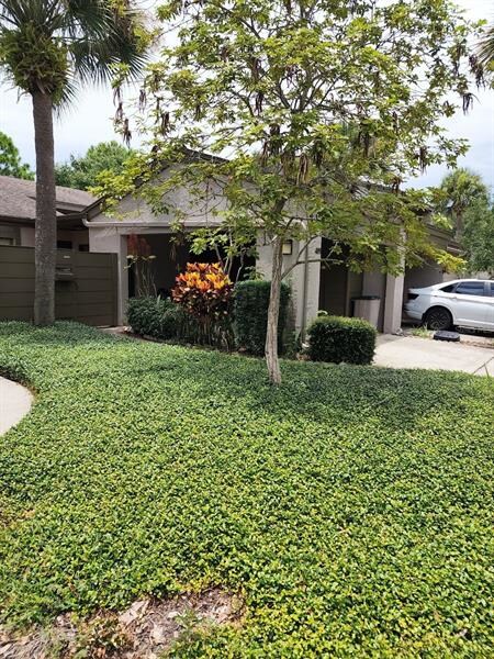 Side of Carport view