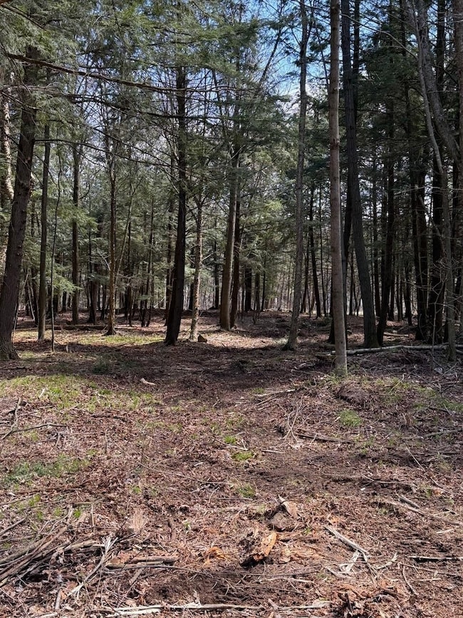 Lot 2 Buttercup Rd, Rib Mountain, WI 54401 - photo 4