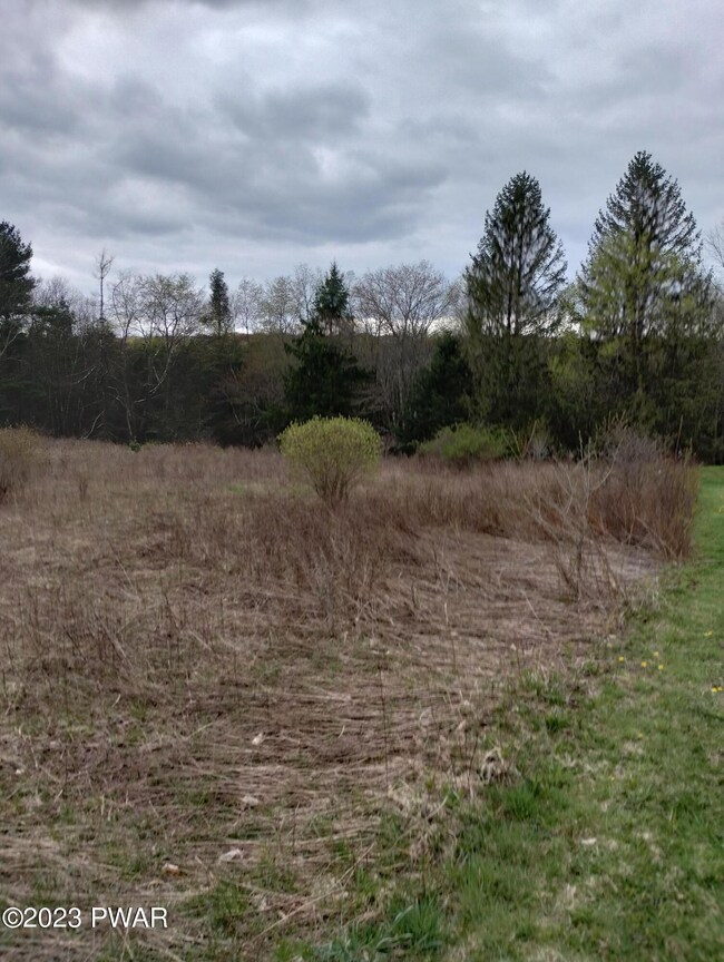 Lot 4 Ledgedale Rd, Lake Ariel, PA 18436 - photo 4