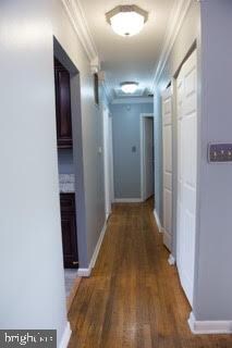 6503 Calmos St, Capitol Heights, MD 20743 - photo 6