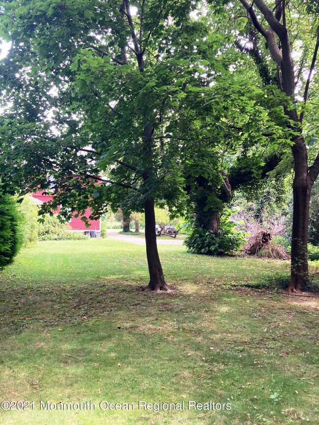 49 E. River-backyard
