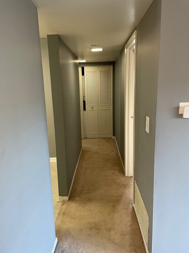 4506 Kings Walk Dr unit 1B, Rolling Meadows, IL 60008 - photo 5