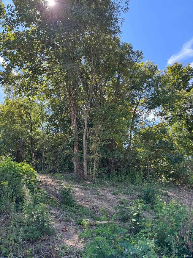 732 W Thornridge Way, Spencer, IN 47460 - photo 5