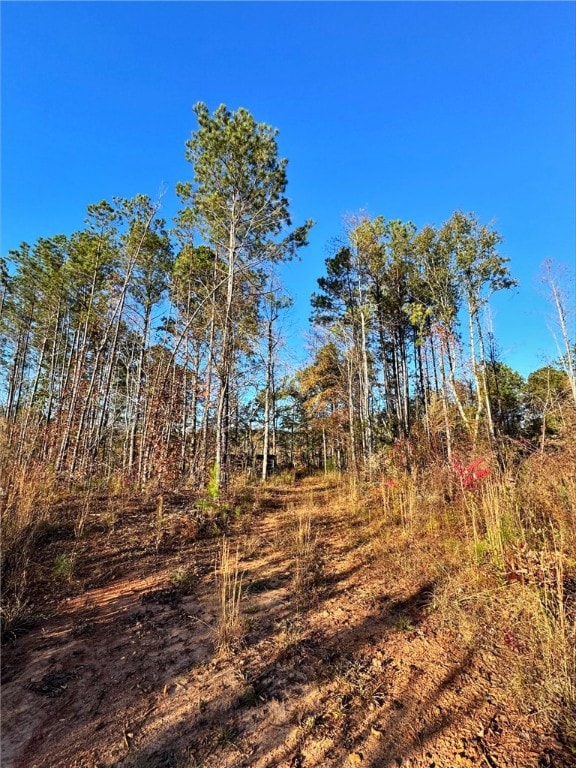 0 County Road 222 unit 177739, Lanett, AL 36863 - photo 3