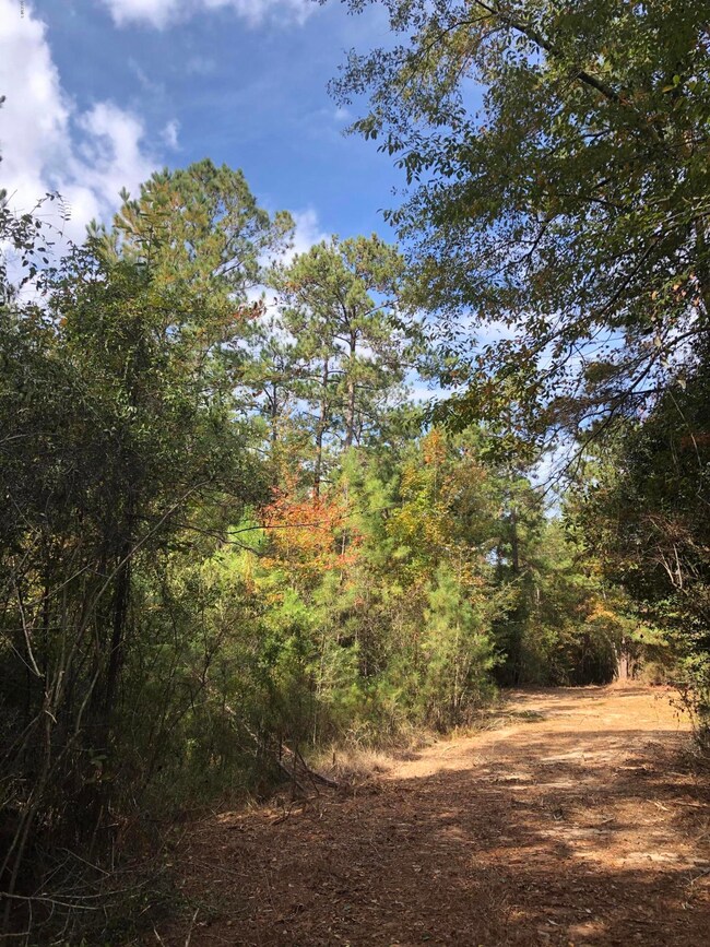 0 Backlin Rd, Lucedale, MS 39452 - photo 5