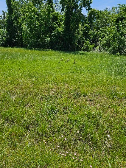 782 Fortune St, Houston, TX 77088 - photo 3