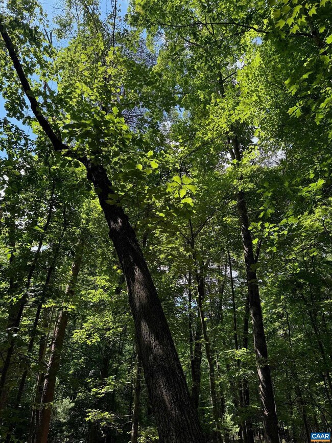 TBD Barracksdale Ln, Charlottesville, VA 22901 - photo 7