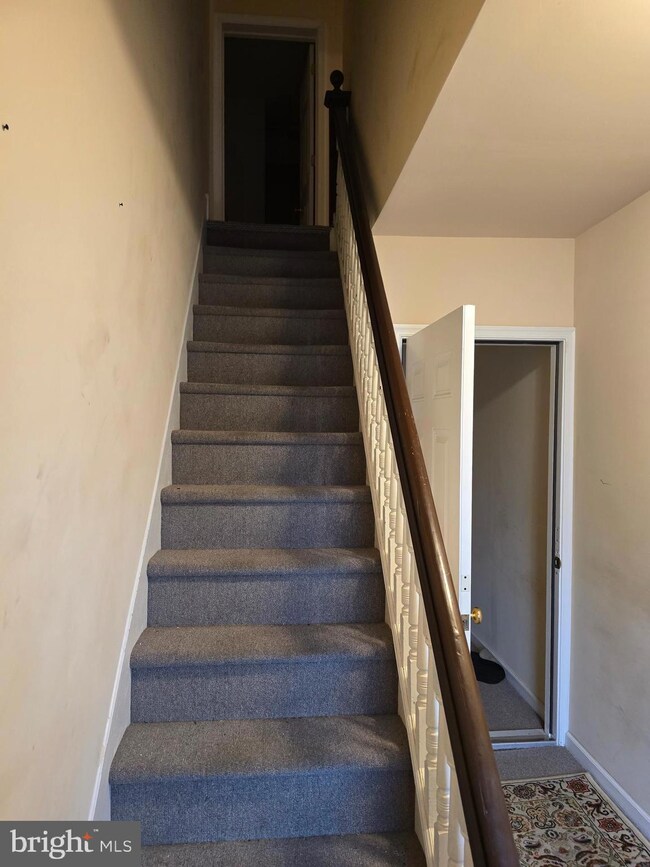 4894 Old Easton Rd unit 3, Doylestown, PA 18902 - photo 6