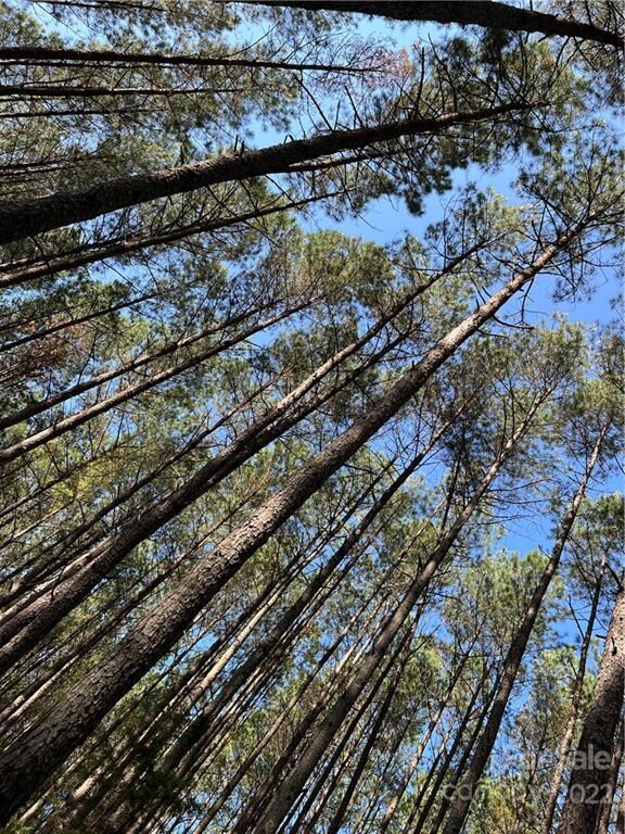 VAC Johns Rd unit 2, Albemarle, NC 28001 - photo 5