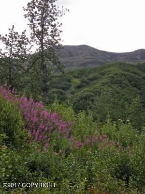 Cache Creek 2009 010