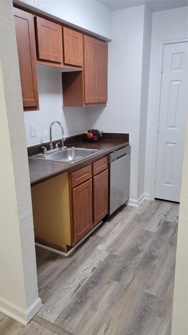 Kitchen sink and dishwasher