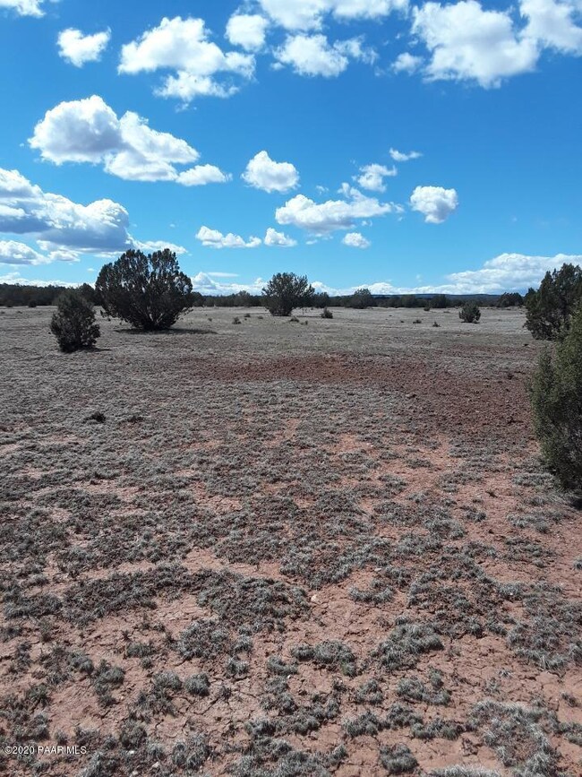 30207139d N Cattle Dr, Ash Fork, AZ 86320 - photo 2