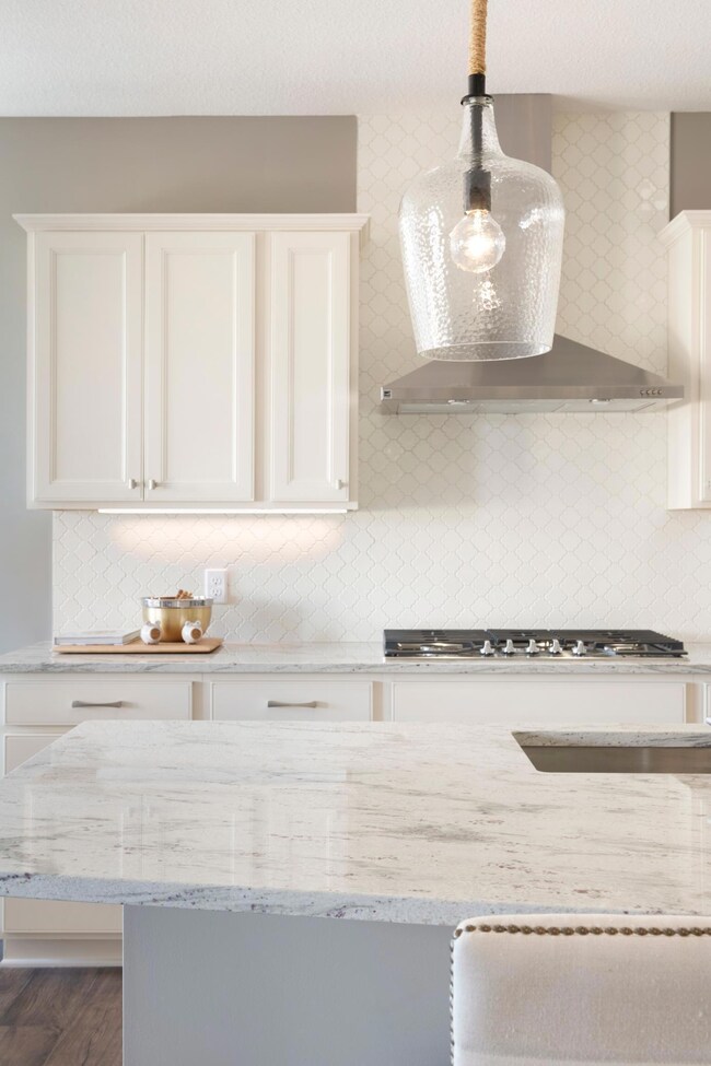 9961 Jack Pine Ln, Corcoran, MN 55340 - photo 6