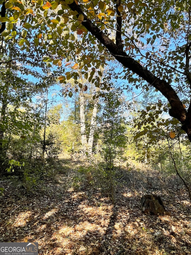 0 Highway 36 E unit 10652520, Jackson, GA 30233 - photo 7