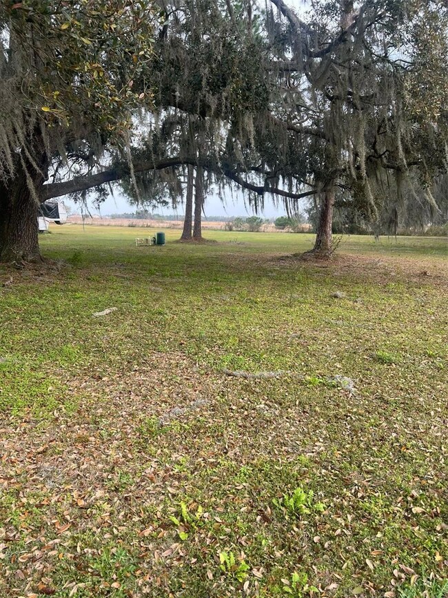 3060 Lanier Rd, Zephyrhills, FL 33541 - photo 4