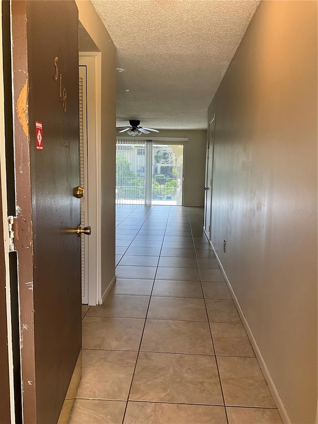 Entering the property/Foyer