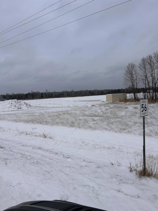 16068 County Road 56, Nashwauk, MN 55769 - photo 7