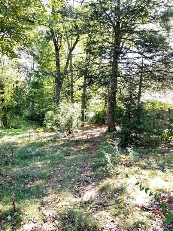 0 Red Gate Ln unit 73348273, Amherst, MA 01002 - photo 4