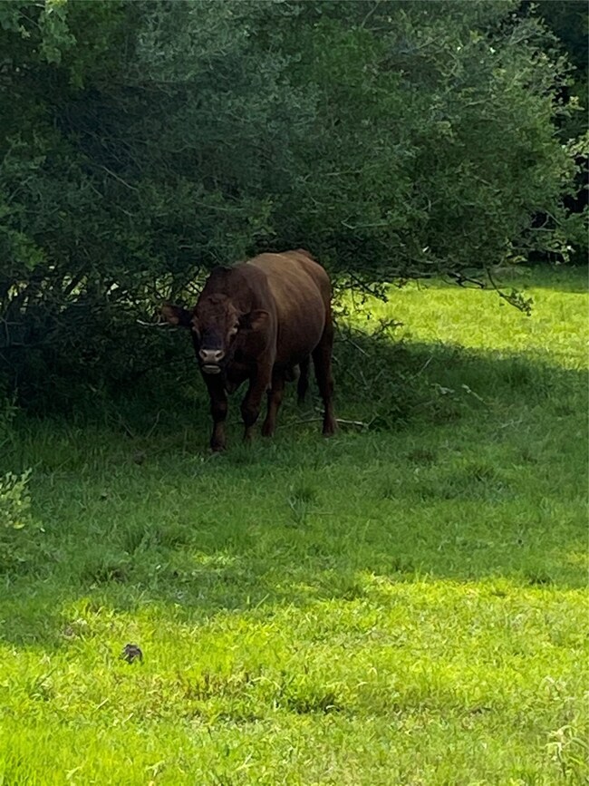 8300 Belcher Rd, Manvel, TX 77578 - photo 5