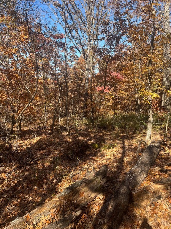 TBD Kinloch Dr, Bella Vista, AR 72715 - photo 5