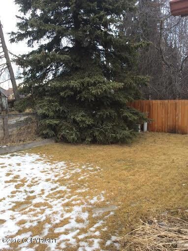 back yard