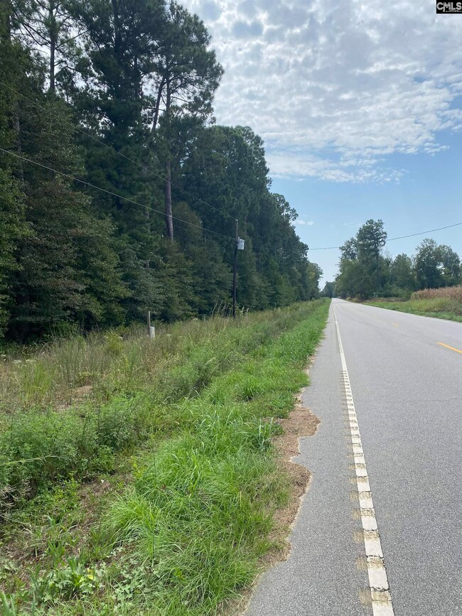 5445 Dubose Siding Rd, Sumter, SC 29153 - photo 4