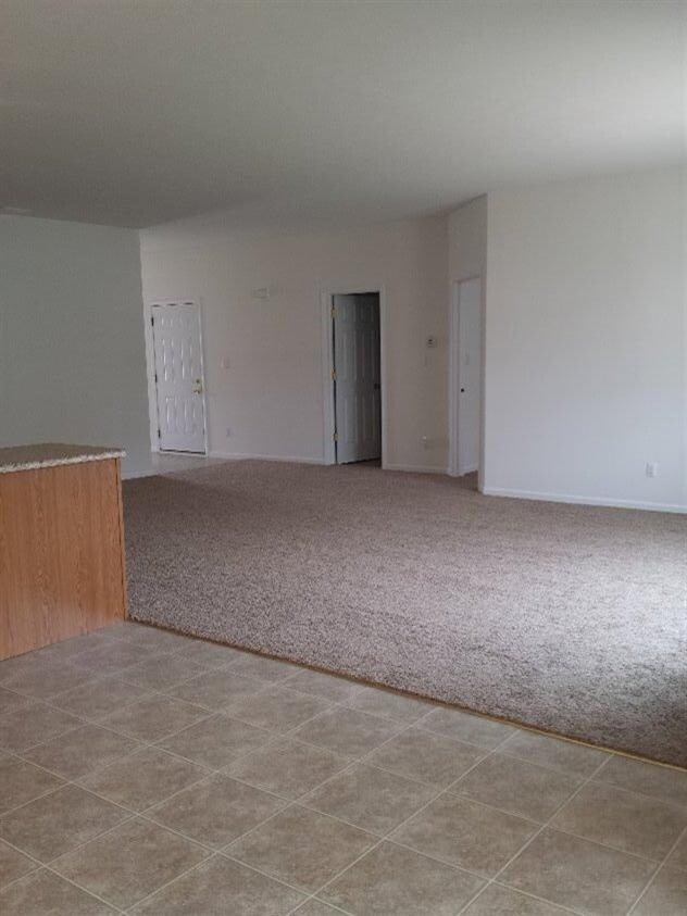 283 E 130th Ave, Crown Point, IN 46307 - photo 5