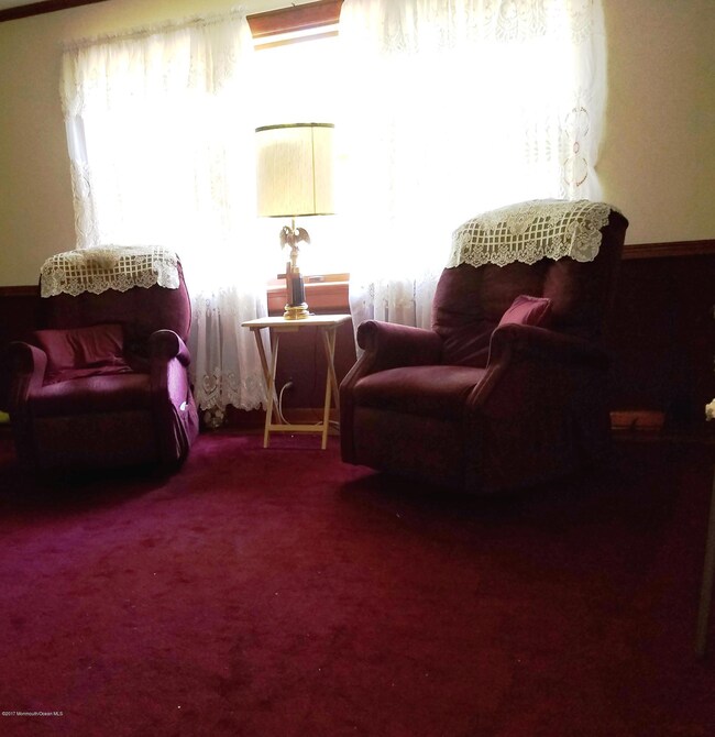 Living Room Window