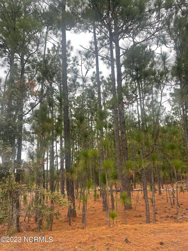 0 Boyd Lake unit 100412372, Hamlet, NC 28345 - photo 2