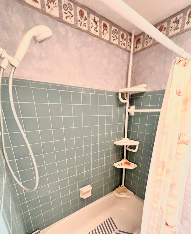 Master bathroom shower