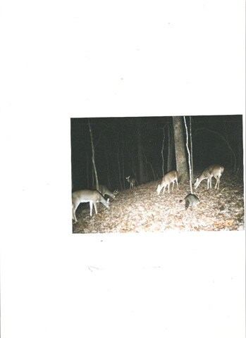 1277 Greene Road 707, Paragould, AR 72450 - photo 6