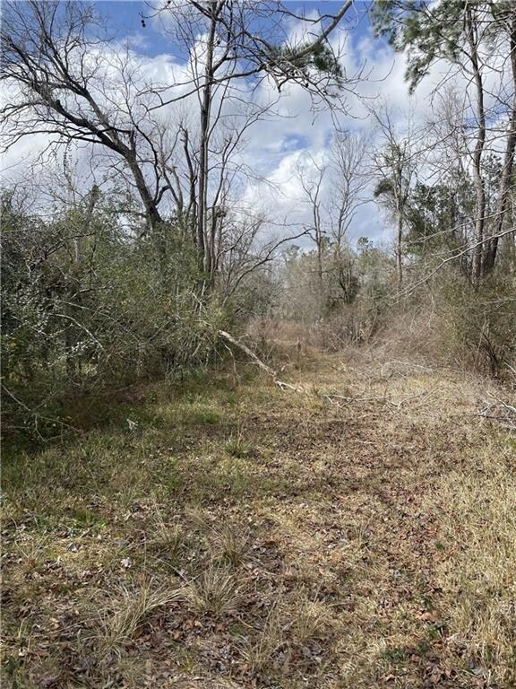 1779 Mitchell Rd, Vinton, LA 70668 - photo 2