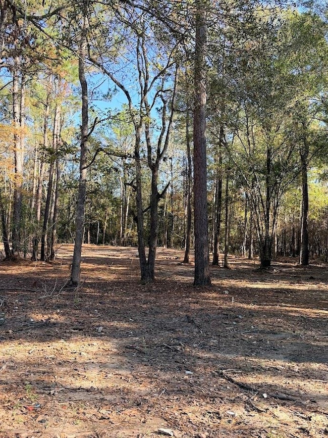 512 Monte Kelly, Buna, TX 77612 - photo 3