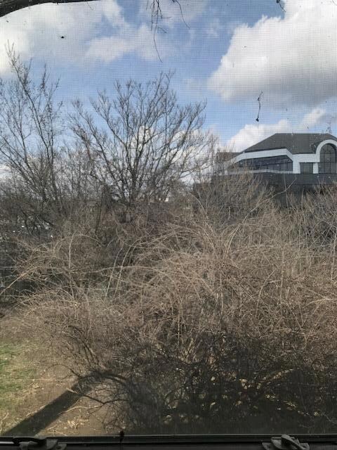 Bay Window View